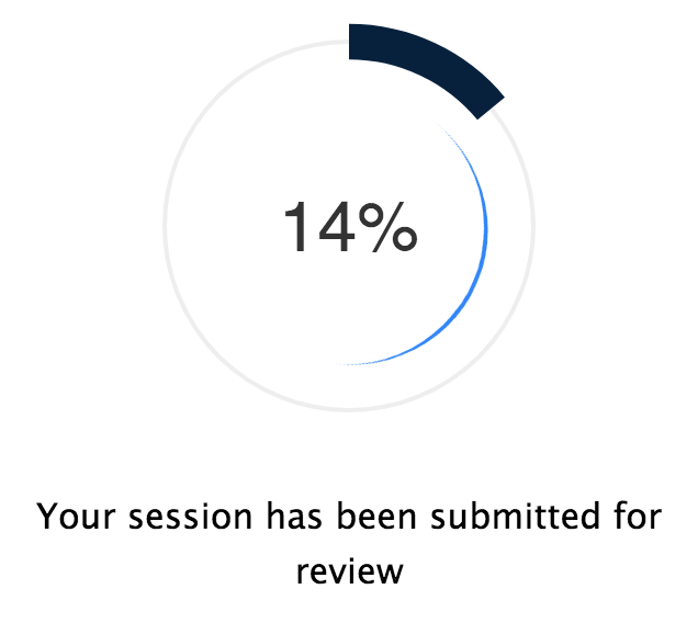 A progress bar demonstrating that a review of a student's session is in progress